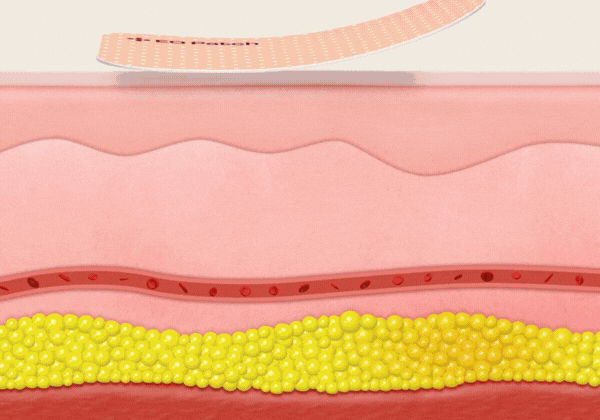 Illustration de l’absorption transdermique d’Amelina™ à travers la peau