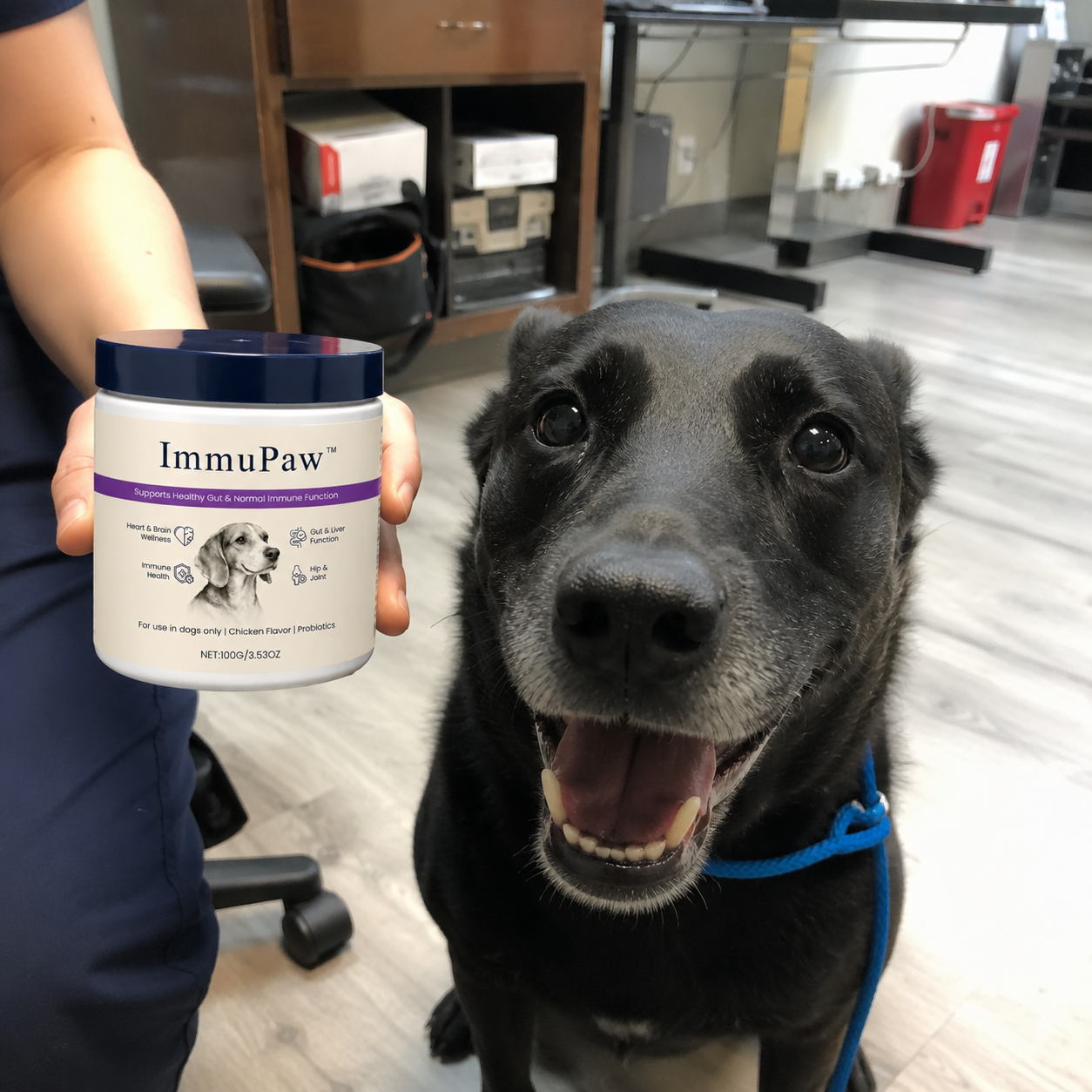 Chien avec un flacon ImmuPaw™