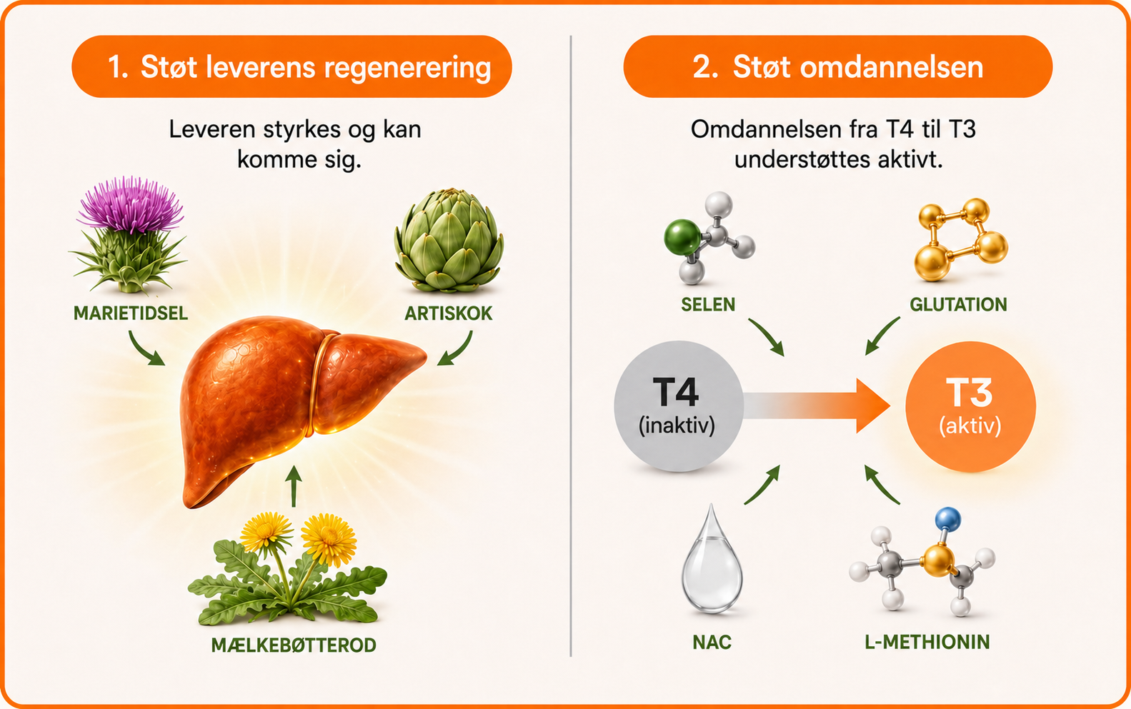 To trin med urter og næringsstoffer