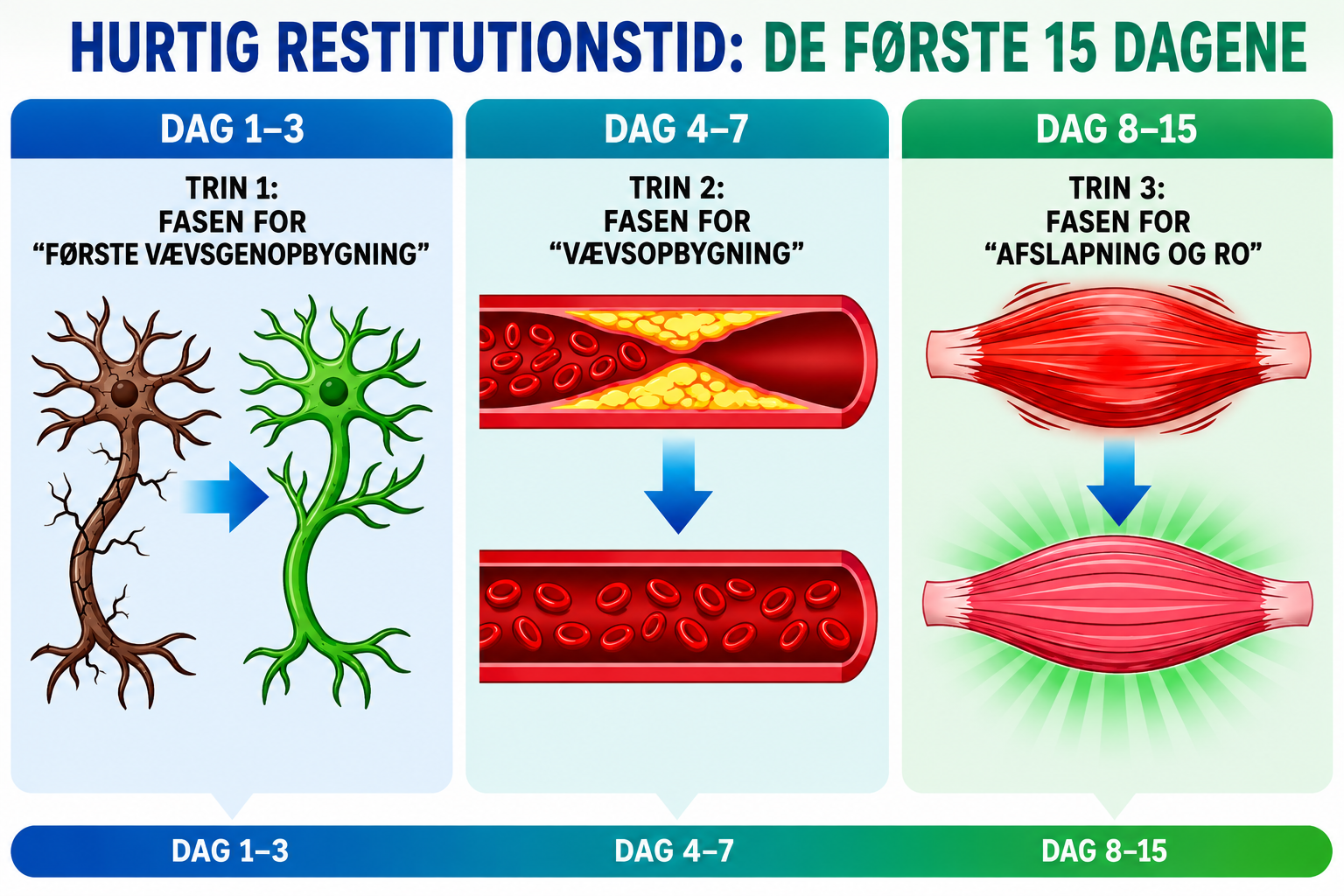 De første 15 dage med Feelific™