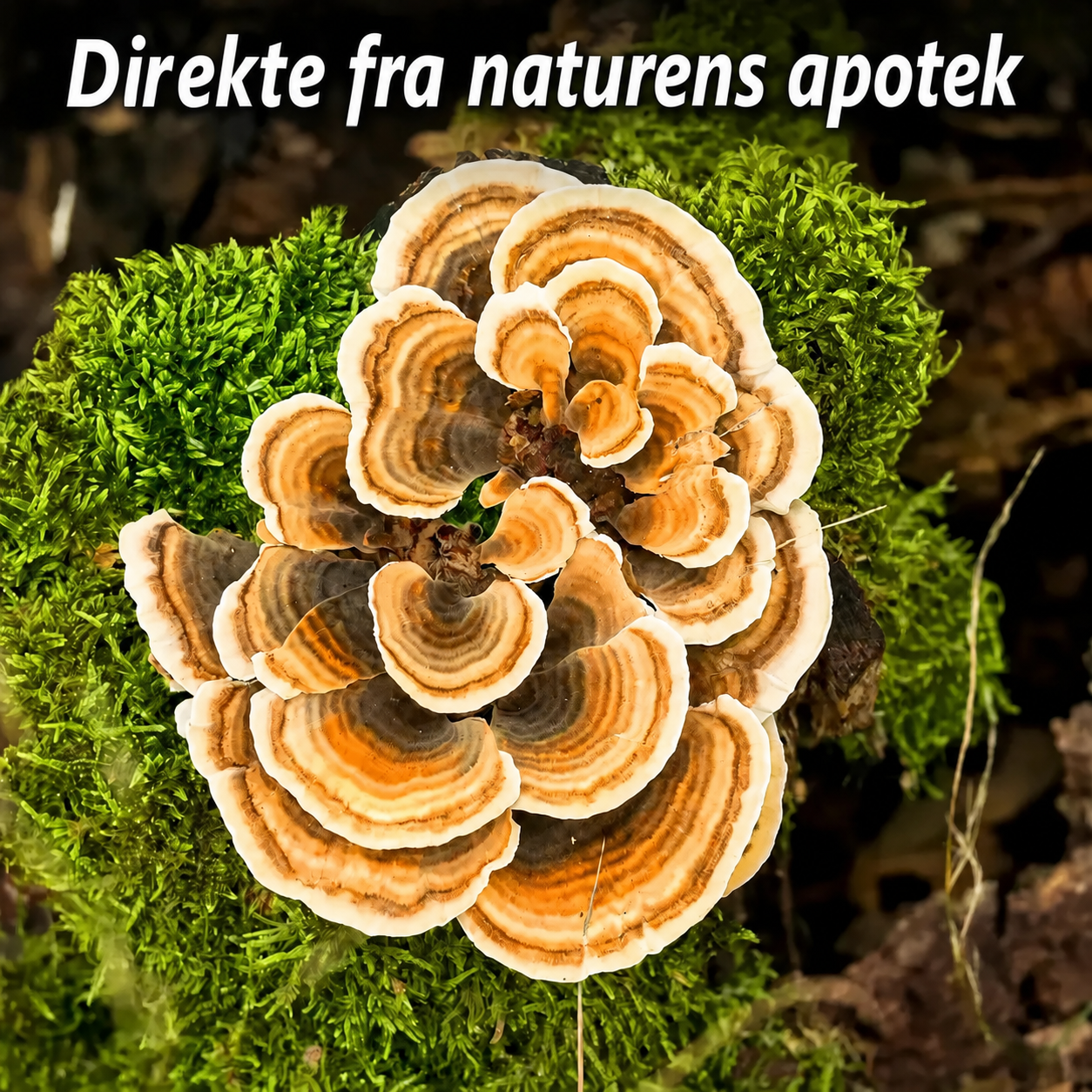 Direkte fra naturens apotek