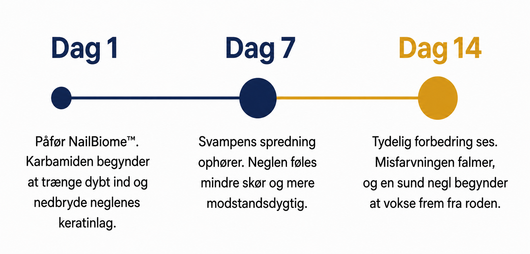 Tidslinje for NailBiome™