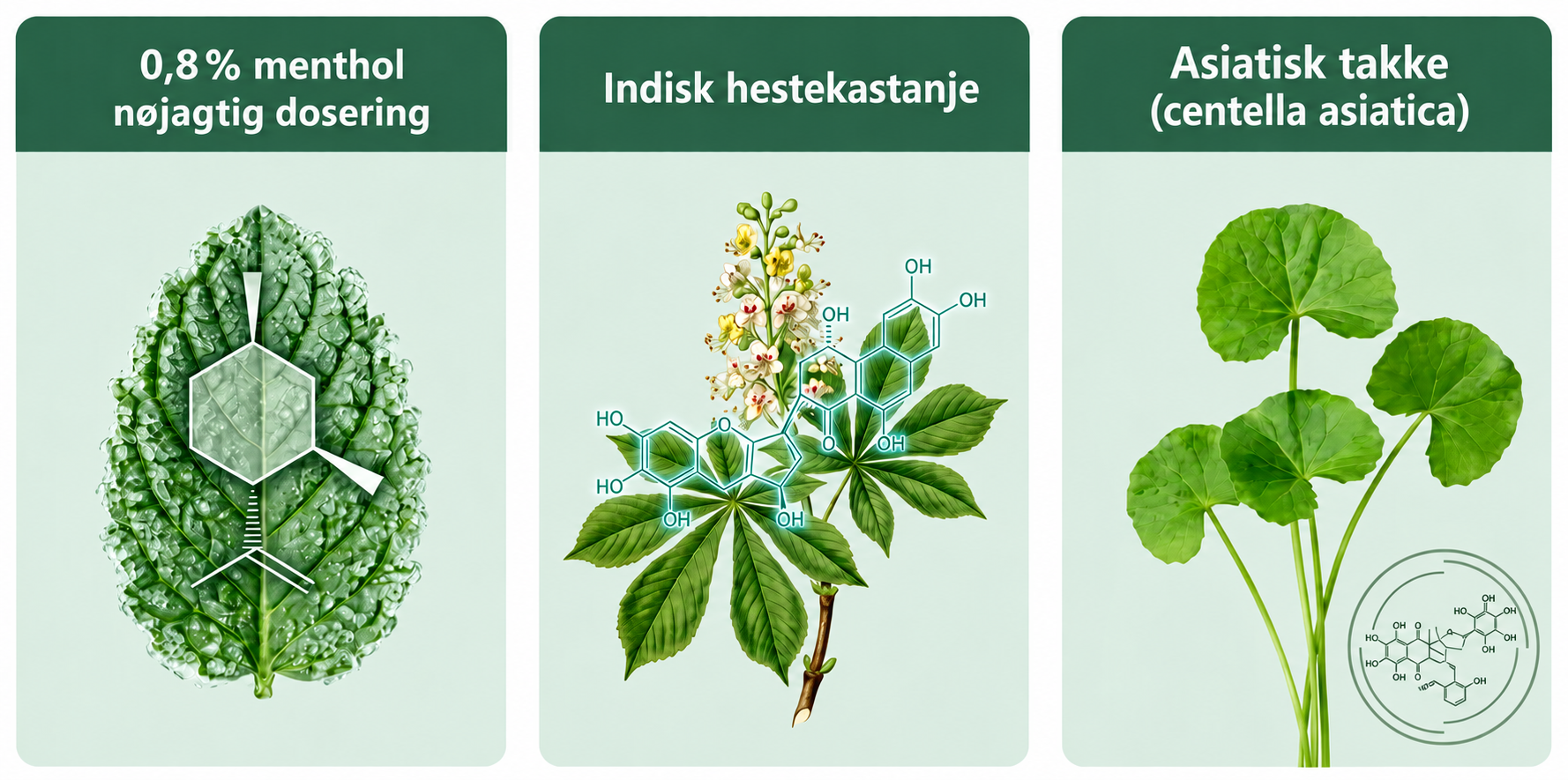 Mentol, hestekastanje og Centella asiatica
